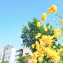 의료법인명일의료재단 대정요양병원 이미지