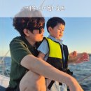 여수기억 | 여수 요트투어 노을 바다 웅천 마리나 요트 페가소스 여기 찐