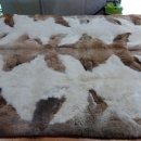 영수선 Daum카페