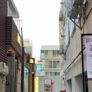 춘하추동닭발