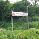 친환경체리 이미지