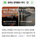 마음의 부를 얻다 이미지