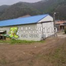 장암로 이미지