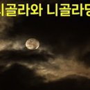 콜라당 이미지
