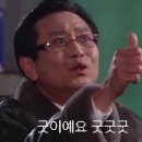 싱싱오징어나라