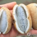 카페생각