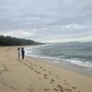 롱비치275 이미지