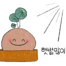 트레조(tresor) 네이버블로그