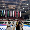 용인대엘리트태권도 이미지