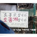 애인농장