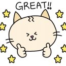 보듬 반려견미용실 이미지