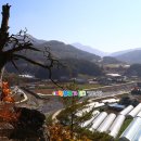 강경원 농장 | [스크랩] 강원도 정선군 특산물 정선의맛 곤드레 정선곤드레음식관광활성화사업단 여행블로거기자단...