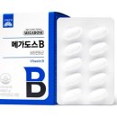메가스템