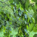 한덕농장 이미지