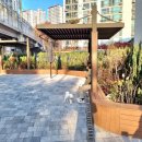 구남초교 이미지