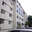 분당-265 이미지