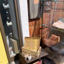 바위회관 | 통영 카페 고양이회관 후기 시골 감성 가득한 숨은 힐링카페