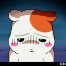꽃돼지국밥