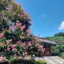 여주-1018 이미지