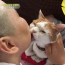 상귀농장