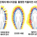 퀀텀파동센타