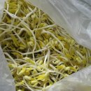 군산콩나물영농조합법인 이미지