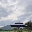 담양온천 이미지