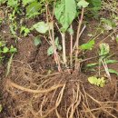 오금농장 이미지