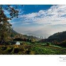 덕은농장 이미지