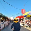 강화도 여행 대룡시장 교동시장 엘리야리조트