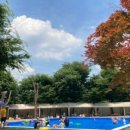 송추로얄암반수수영장 이미지