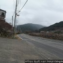 매화랜드 앞 이미지