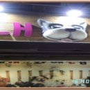 내개로와 이미지