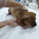 삼남면행정복지센터 이미지