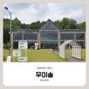 따, 숲 | 카페 / 경기 여주 - 무이숲 : 애견동반 가능한...가기 좋은 대형카페 / '함께해요, 푸르메 힐링농장' 후기