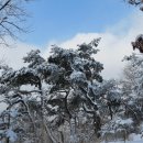 용천약수 이미지