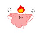 스마일포장 이미지