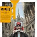 빅픽처 이미지