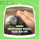 장도해도마을(옥외) | 국립전주박물관 옥외전시, 봄날의 문화 산책