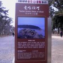 울산 대왕암공원 이미지