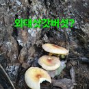 빵구네 이미지