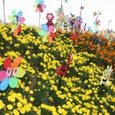 김제지평선타이어 네이버블로그
