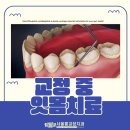 서울롱치과교정과치과의원 이미지