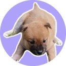 반운리마을회관 이미지