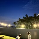 호호용담 이미지