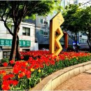 묵정공원 Daum카페