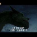 드래곤컴퍼니 이미지