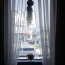 일루아 카페 이미지