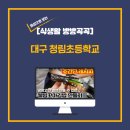 대구청림초등학교 이미지