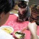 한입만 - 군포시 | 한입만
